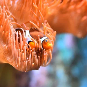 Cologne Cologne Zoo and Aquarium Entry Ticket Picture 4