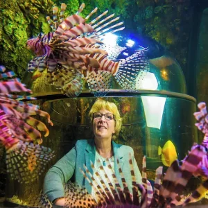 SEA LIFE Timmendorfer Strand Admission Ticket Picture2