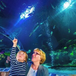 SEA LIFE Timmendorfer Strand Admission Ticket Picture7