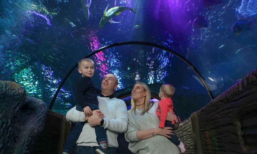 SEA LIFE Blackpool
