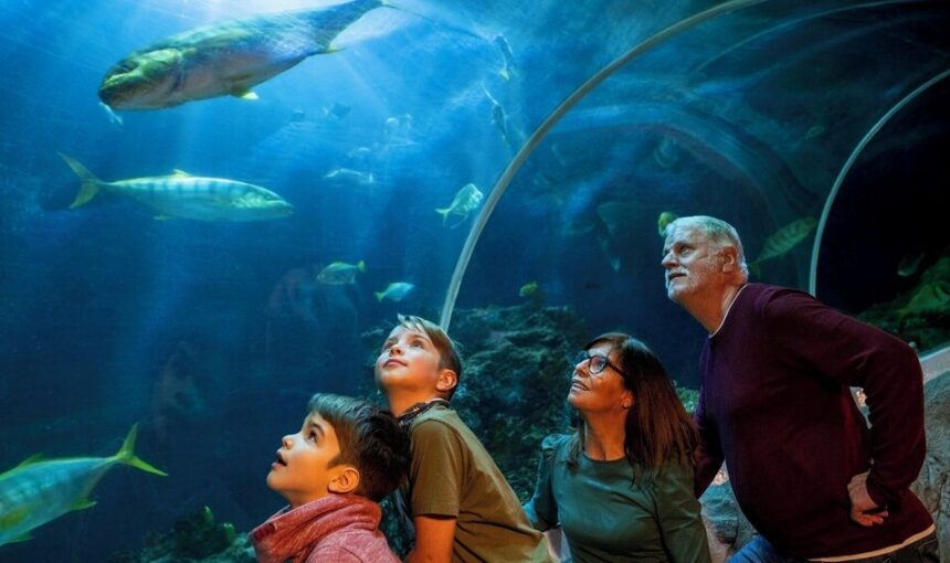 SEA LIFE Oberhausen Admission Ticket