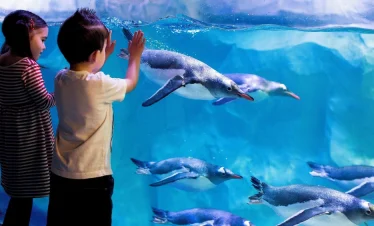 SEA LIFE Paris Admission Ticket