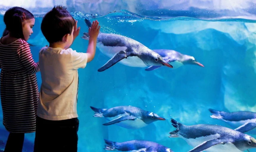 SEA LIFE Paris Admission Ticket