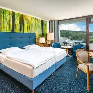 AHORN Harz Hotel Braunlage Picture13