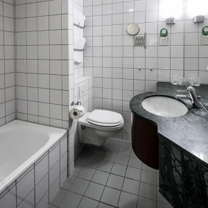 First Hotel Millennium Picture7