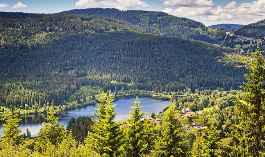 Vier Jahreszeiten am Schluchsee