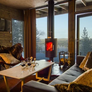 Arctic TreeHouse Hotel pic4