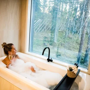 Arctic TreeHouse Hotel pic8